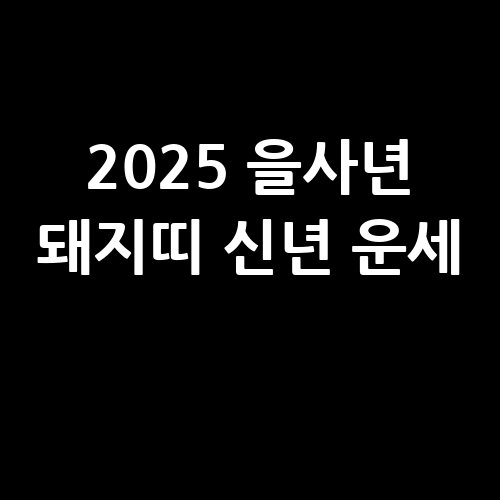 이미지