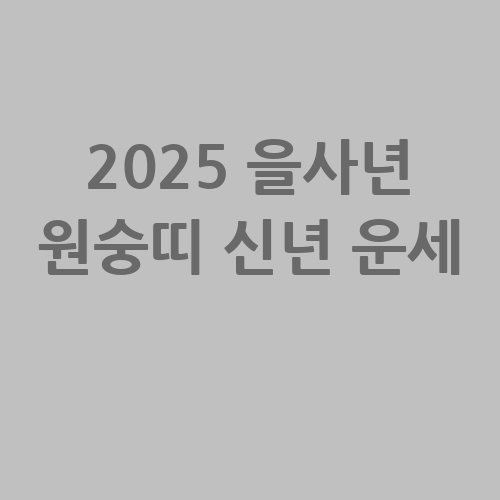 이미지