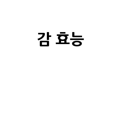 감 효능과 건강 비결