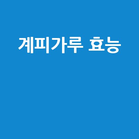 계피가루 효능으로 건강 챙기기