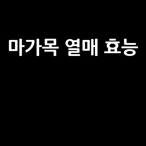 마가목 열매 효능과 활용법