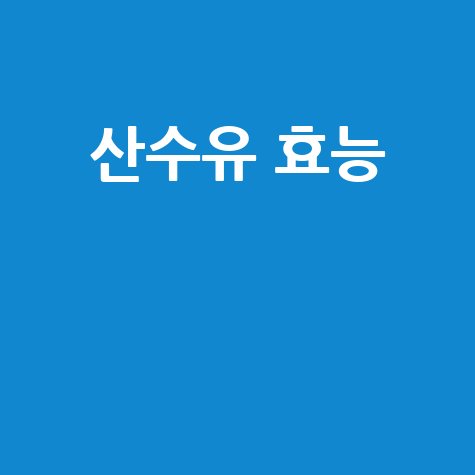 산수유 효능과 건강 효과 알아보기