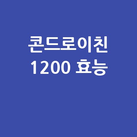 콘드로이친 1200 효능과 효과 알아보기