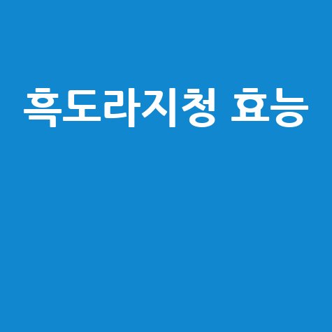 흑도라지청 효능과 효과 알아보기