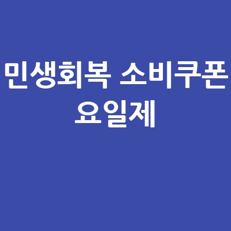 민생회복 소비쿠폰 요일제