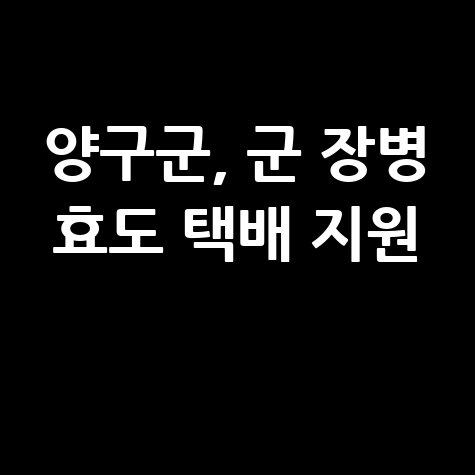 양구군 군 장병 효도 택배지원 신청방법