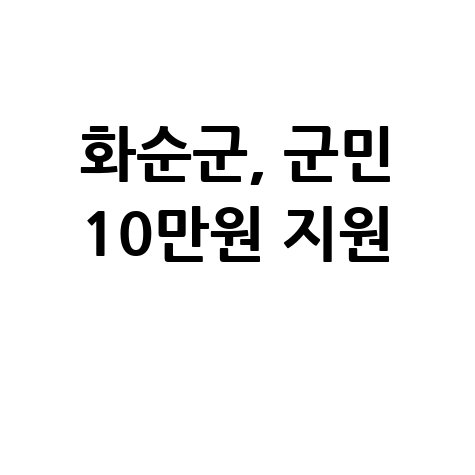 화순군 군민 민생안정지원금 10만원 신청방법