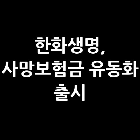 한화생명 사망보험금 유동화 서비스 바로가기