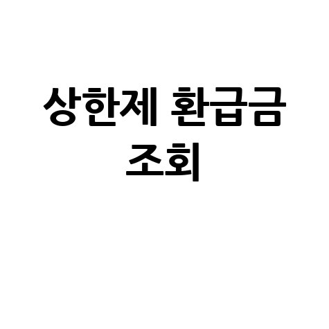 상한제 사후환급금: 뜻과 조회 방법 완벽 정리