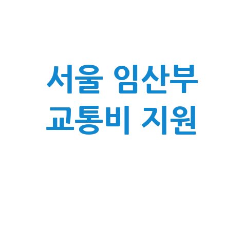 서울시 임산부 교통비 지원: 대상, 신청 방법 완벽 가이드