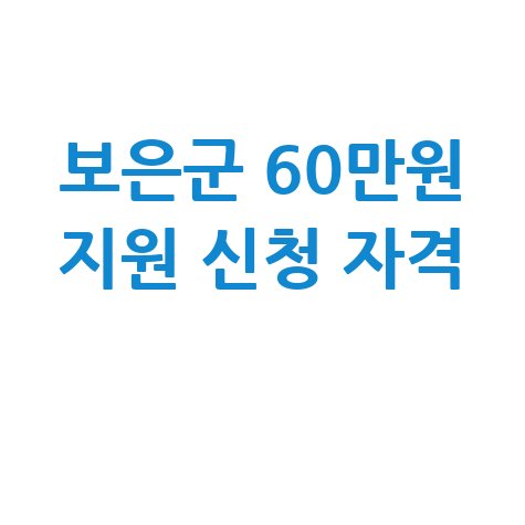보은군 1인당 60만원 민생지원금 신청방법 자격 대상