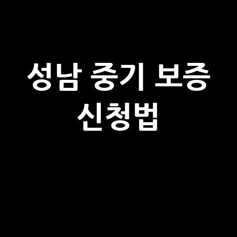 성남시, 중소기업 이차보전·특례보증 신청방법 자격 대상