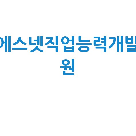 에스넷직업능력개발원 훈련과정 취업 성공 전략