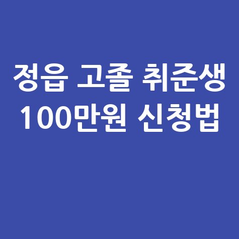 정읍시 고졸 취준생 구직지원금 100만원 신청방법