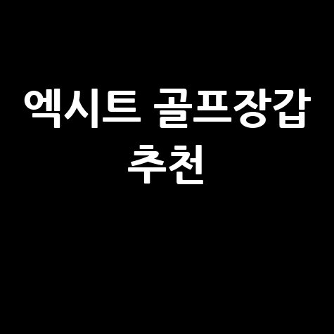 엑시트 파크 골프장갑 추천 및 가격정보