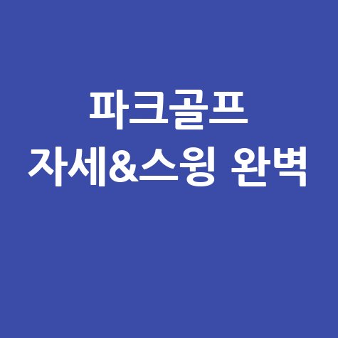 파크골프 자세 교정과 스윙 밸런스 완벽 가이드