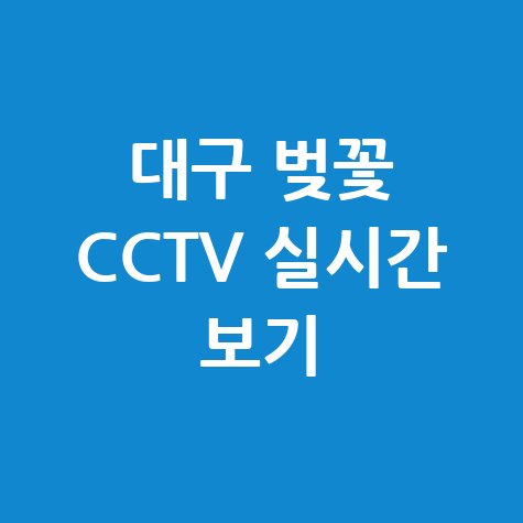 대구 벚꽃 개화시기 및 CCTV 실시간 확인법