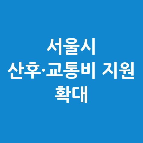 서울시 산후조리·임산부 교통비 지원 확대