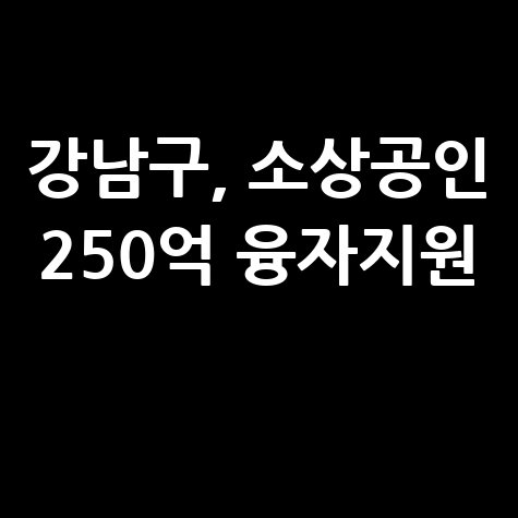 강남구, 중소기업·소상공인 250억 융자지원