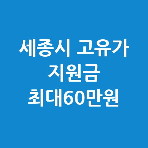 세종시 고유가 피해지원금 최대 60만원 신청법